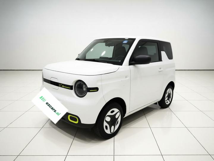 2025 Panda mini 210km Yuan