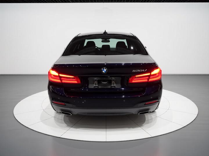 5 Series 2020 530Li Leading M Sport Package photo 3