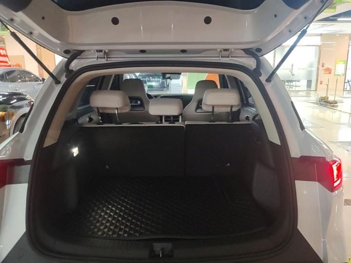 Yuan UP 2025 ADAS 401KM photo 8