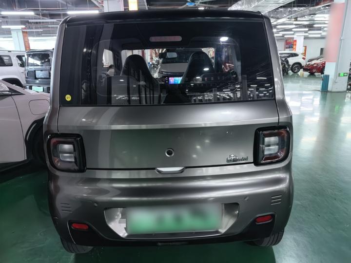 2023 Panda mini 200km Endurance Bear photo 5