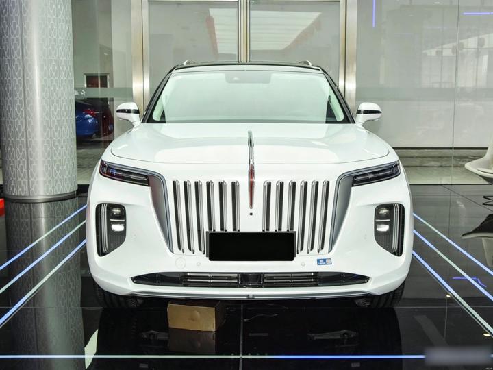 E-HS9 2025 660km 4-Seater photo 2