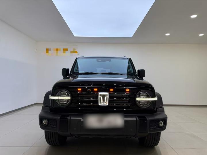 300 2024 2.0T Conqueror photo 2