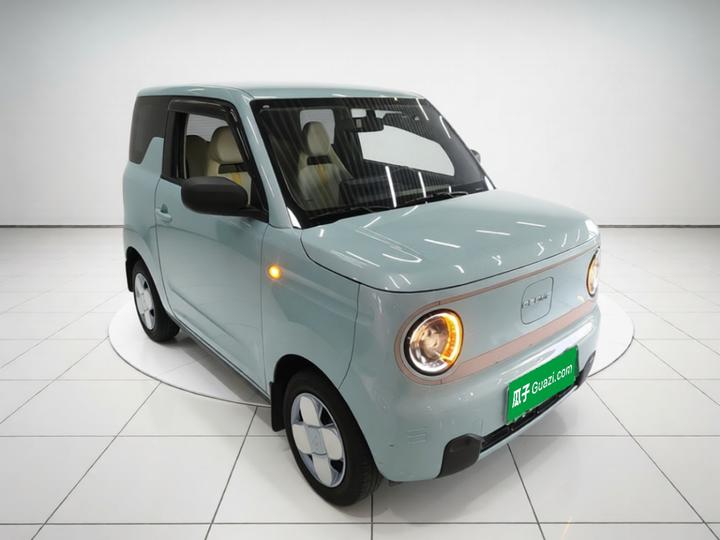 2024 Panda mini 200km Endurance Bear photo 3