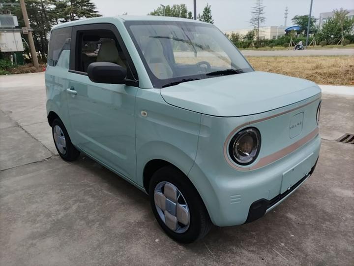 2023 Panda mini 200km Endurance Bear photo 3