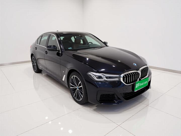5 Series 2021 530Li xDrive M Sport Package photo 3
