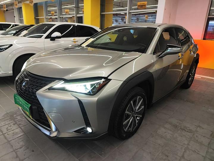 UX EV 2020 300e