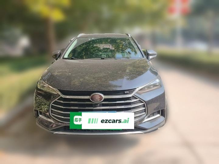 Tang 2018 2.0T AT Connected Premium 7-Seater China V photo 2