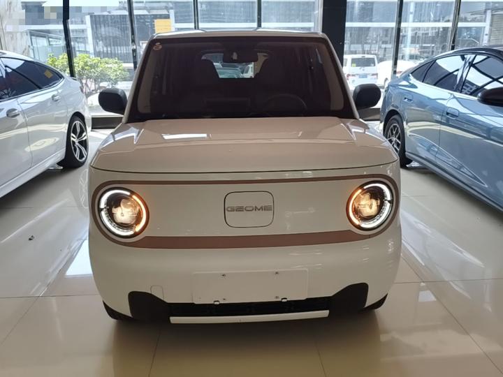 2024 Panda mini 200km Endurance Bear photo 2