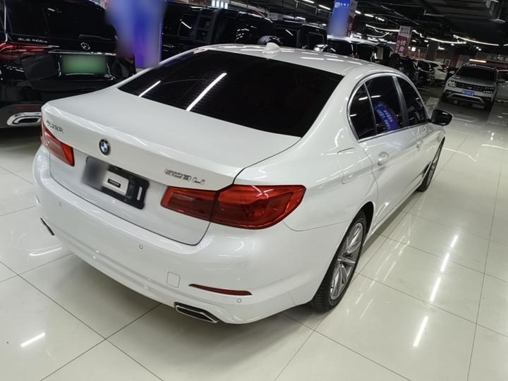 5 Series 2018 528Li Special photo 6