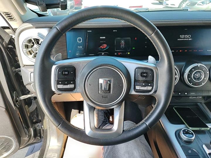 300 2023 Off-road 2.0T photo 6