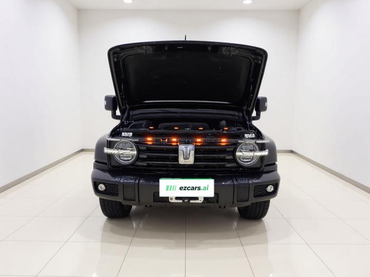 300 2021 Off-road 2.0T Conqueror photo 2