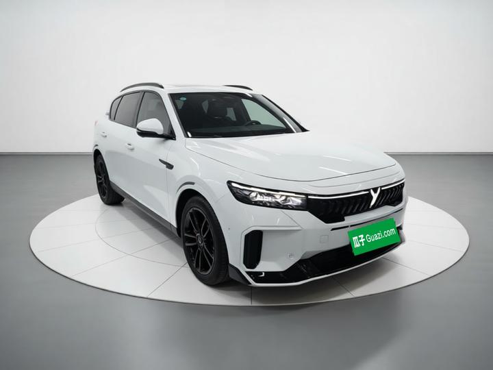 Voyah FREE 2025 318 259km AWD Explorer photo 3