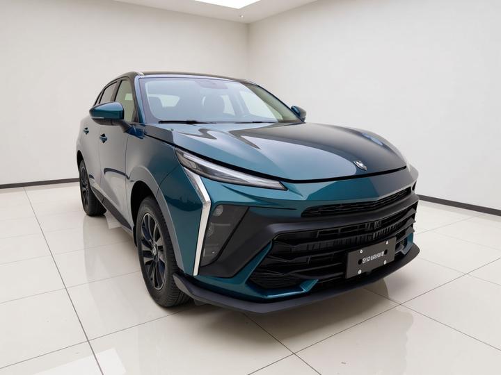 Forthing T5 EVO 2021 1.5TD DCT Platinum photo 3