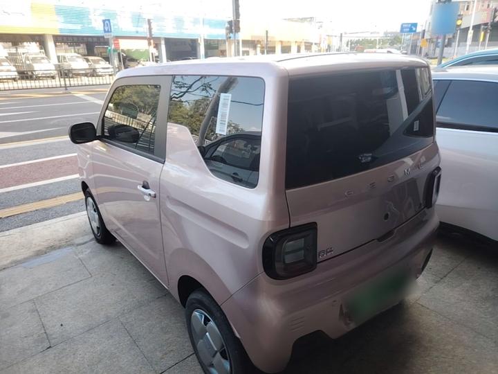 2023 Panda mini 200km Endurance Bear photo 4