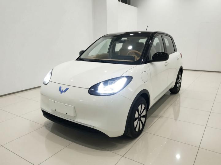 Wuling Bingo 2025 333km