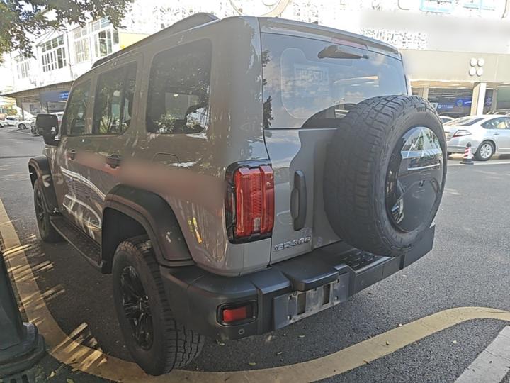 300 2021 Off-road 2.0T photo 4
