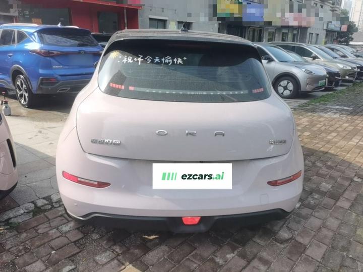 Good Cat 2022 400km Standard Range Premium LFP photo 3