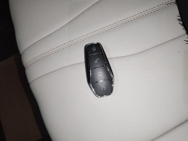 Song Pro EV 2024 Honor DM-i 110KM photo 8