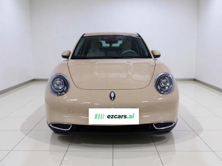 Good Cat 2023 401km Standard Range Luxury LFP photo 2