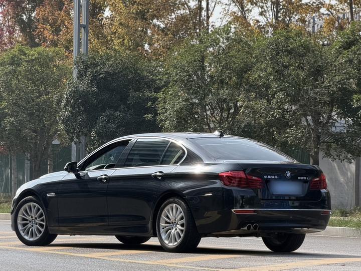 5 Series 2017 525Li Luxury Design Package photo 6