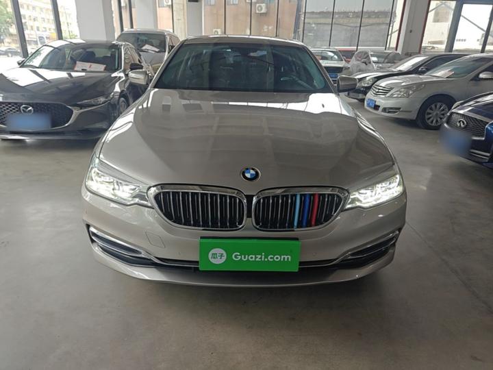 5 Series 2020 530Li Leading Luxury photo 2