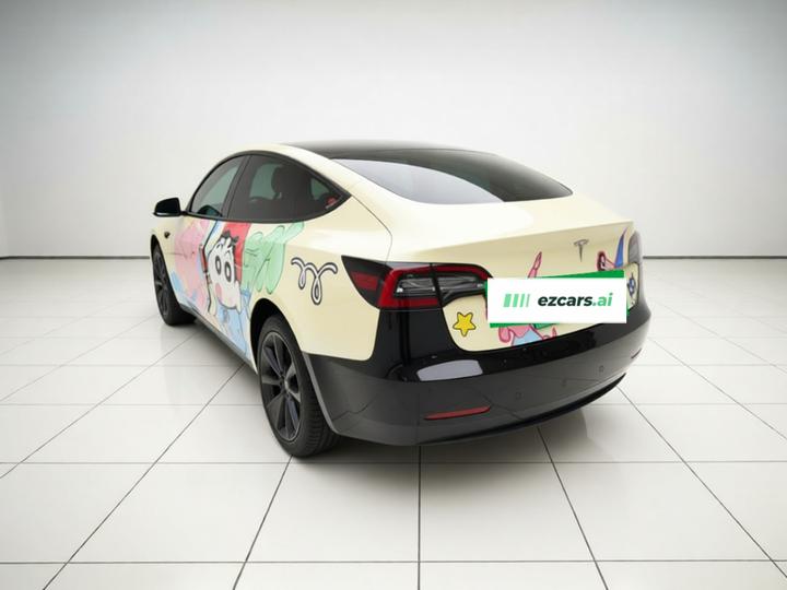 Model 3 2022 RWD photo 4