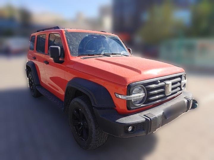 300 2023 Off-road 2.0T photo 3