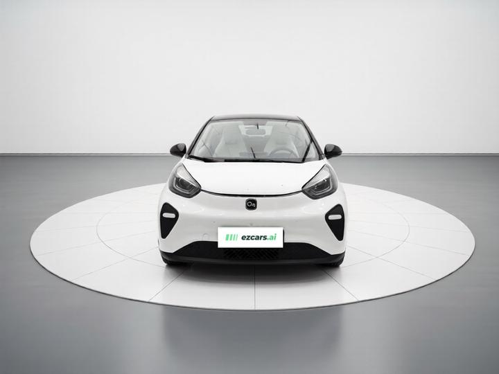 QQ Little Ant 2024 321km photo 2