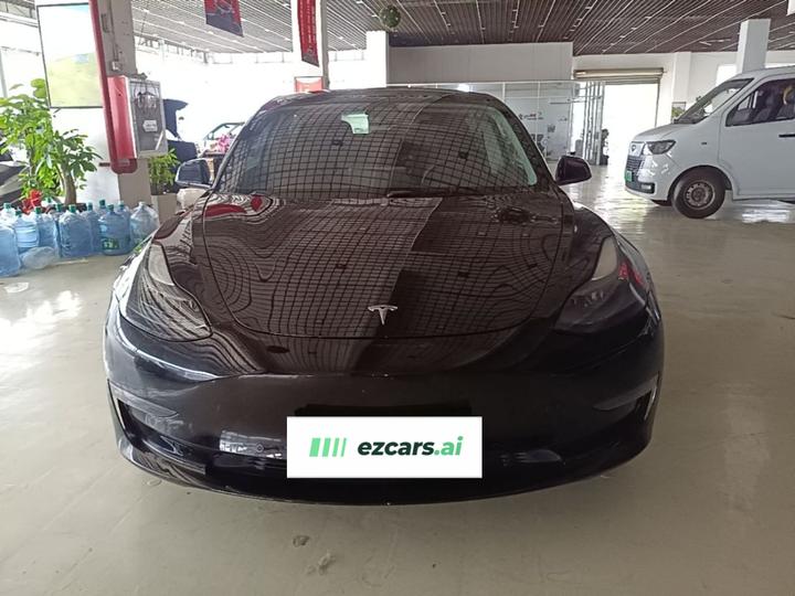 Model 3 2022 Performance AWD photo 2