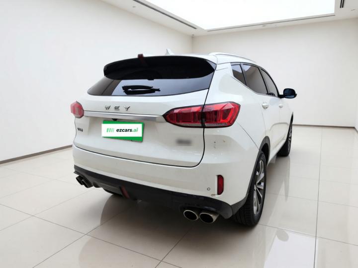 VV6 2018 2.0T RWD China V photo 6