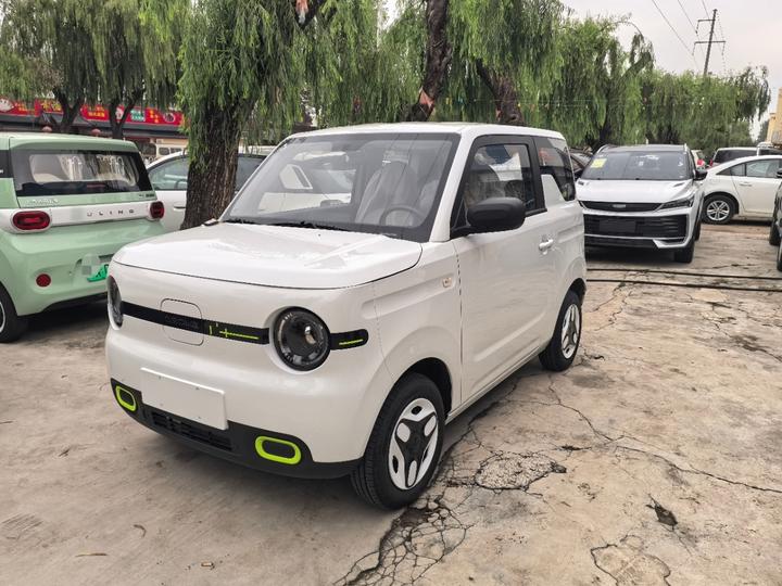 2025 Panda mini 210km Yuan