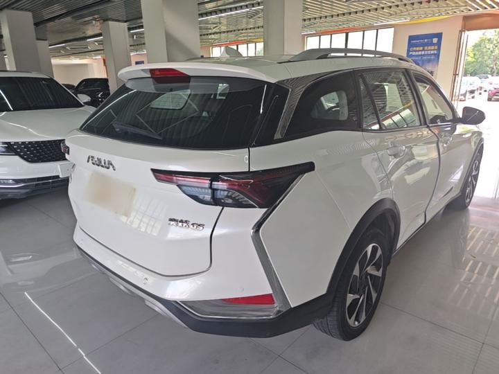 Yixuan GS 2021 230T AT photo 4