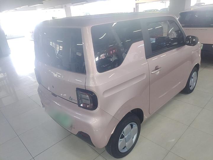 2023 Panda mini 200km Endurance Bear photo 4