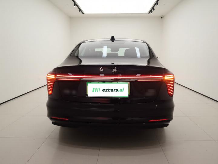 H5 PHEV 2025 130 photo 5