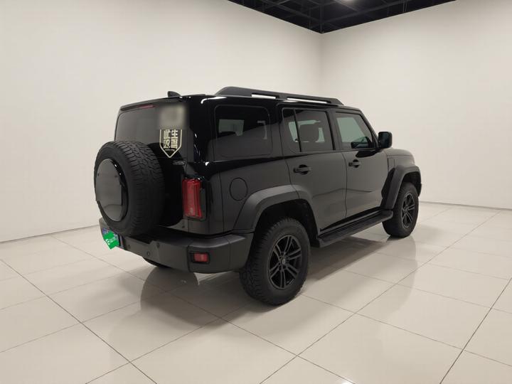 300 2021 Off-road 2.0T Conqueror photo 5