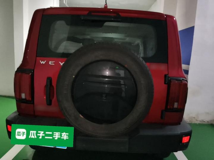 300 2021 Off-road 2.0T Conqueror photo 5
