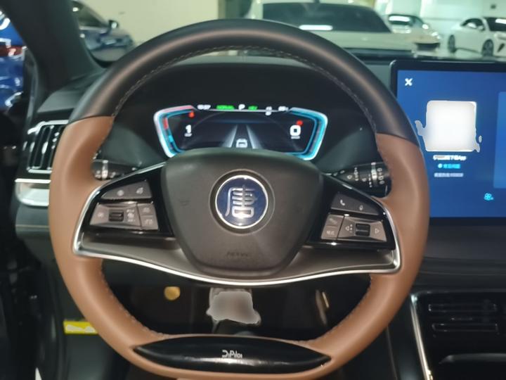 Tang EV 2021 DM-i 112KM Noble photo 2