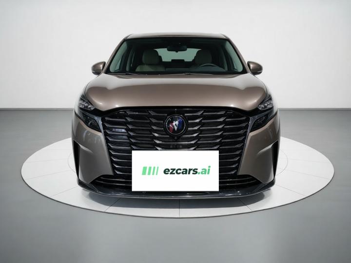 GL8 2023 ES Luxury photo 2