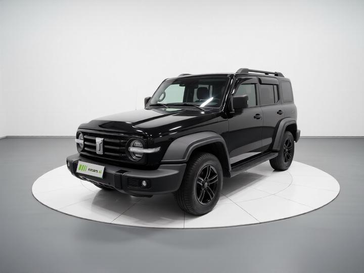 300 2021 Off-road 2.0T Conqueror