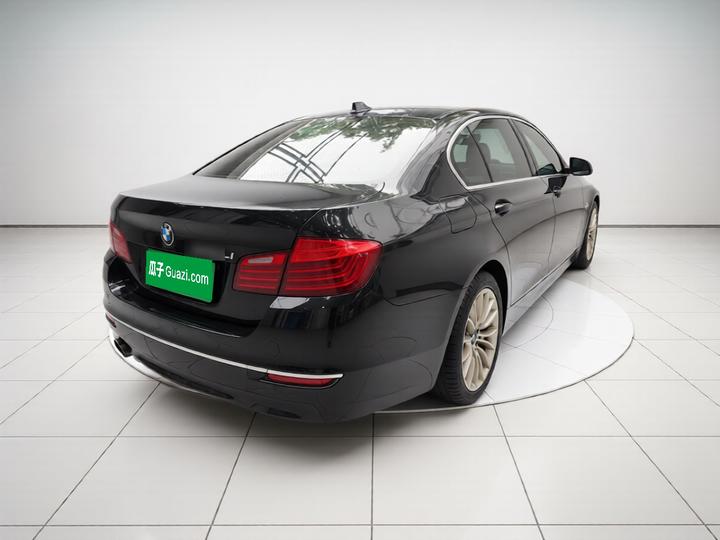 5 Series 2017 525Li Luxury Design Package photo 4