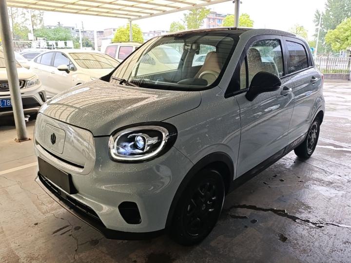 Leapmotor T03 2023 310