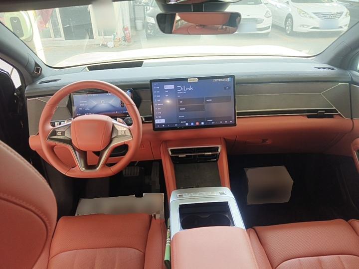 Tang L 2025 DM 175KM photo 5