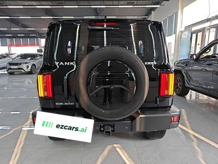 300 2023 Off-road 2.0T Conqueror photo 3