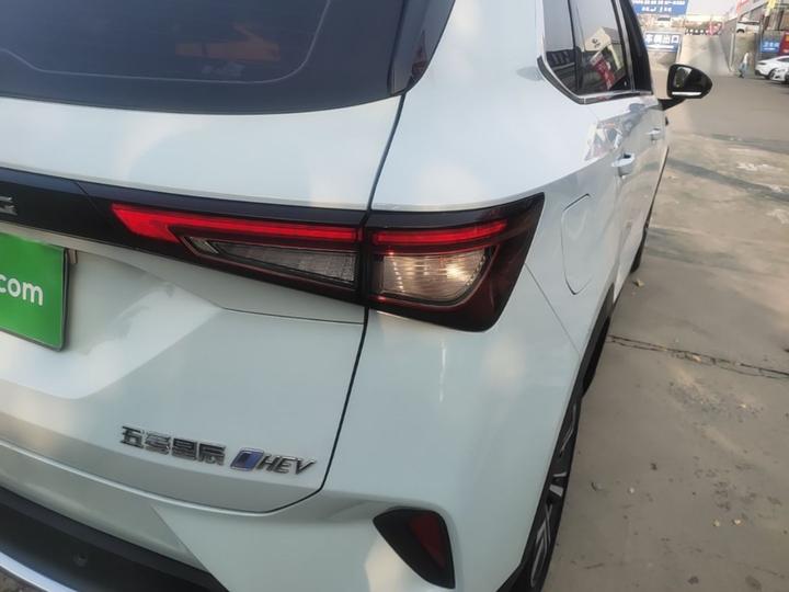 Wuling 2022 2.0L DHT photo 7