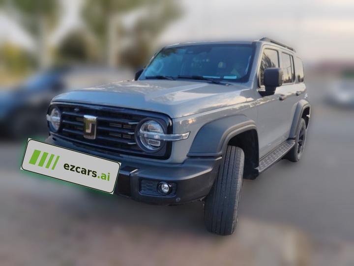 300 2021 Off-road 2.0T