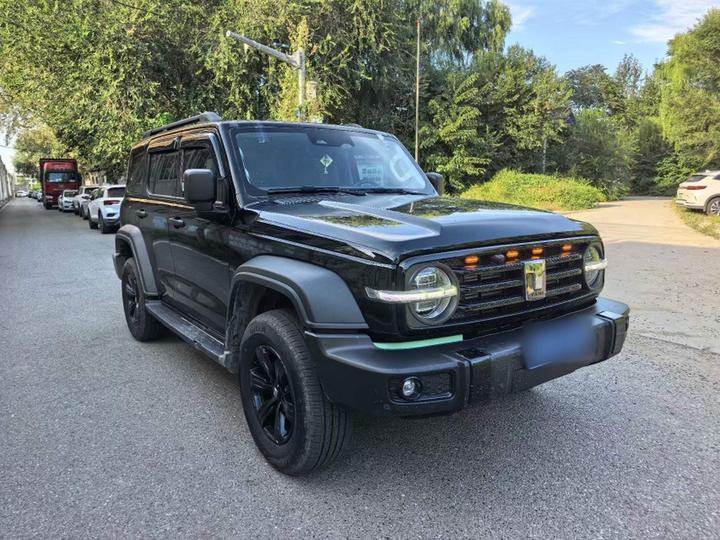 300 2023 Off-road 2.0T Conqueror photo 3