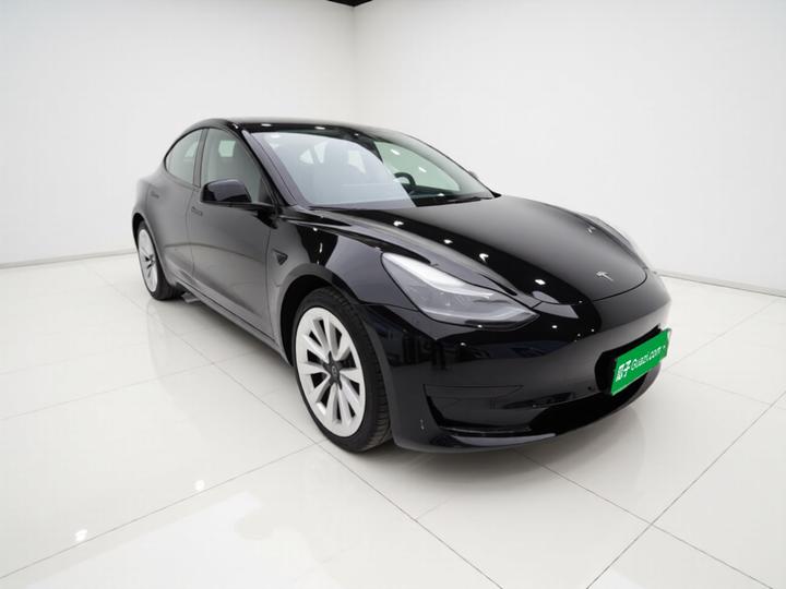 Model 3 2021 Facelift Standard Range RWD Upgraded 3D1 photo 3
