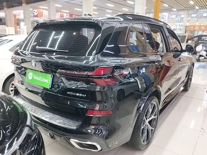 X5 2023 xDrive 30Li Exclusive M M Sport Night Package photo 6