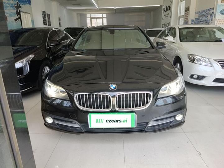 5 Series 2014 520Li photo 2