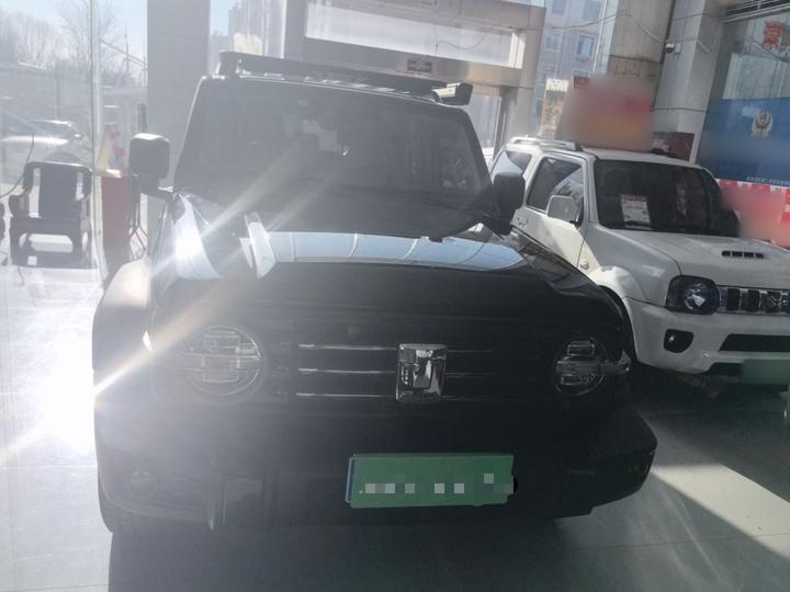 300 2021 Off-road 2.0T Conqueror photo 2